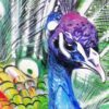 #252 - COLORFUL PEACKOK - Oil Painting - Image 4